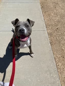 Luke image 2