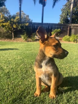 Keenan image 3
