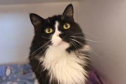 A Boy Named Sue image 1