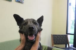 Emmie image 2