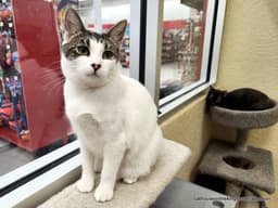 Tina image 1