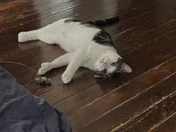 Mitts image 3