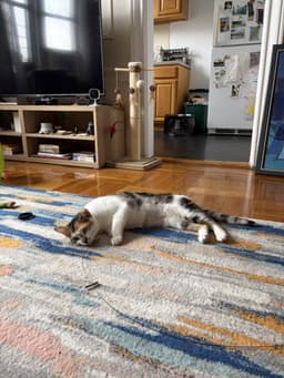 Margo image 2