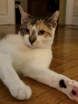 Margo image 1