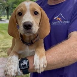 Patricia's Pup image 2