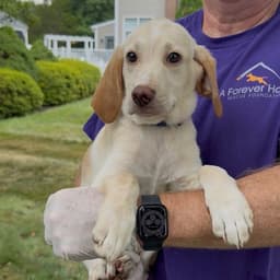 Patricia's Pup image 3