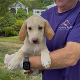 Patricia's Pup image 4