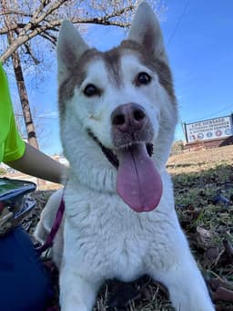 Sasha image 1