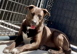 Benny image 1
