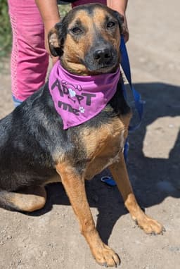Betty image 1
