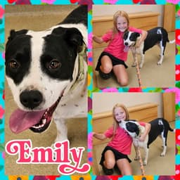 Emily image 3