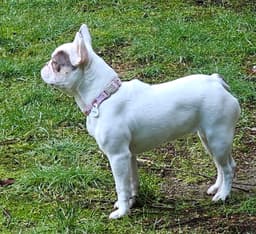Aubrey image 3