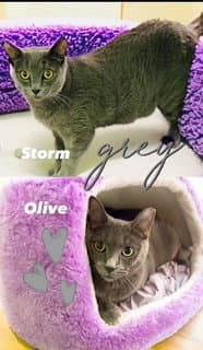 Storm image 2