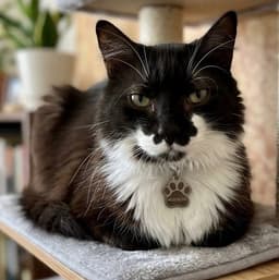 Charlie image 1