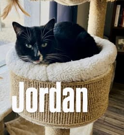 Jordan image 1