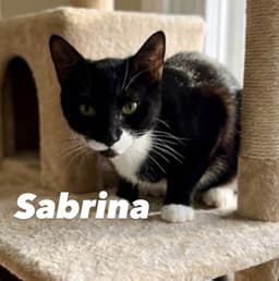 Sabrina image 2
