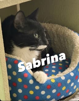 Sabrina image 3