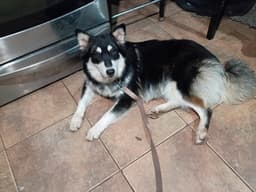 Maddie image 1