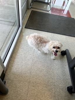 Zoe image 1