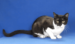 Mimi image 2