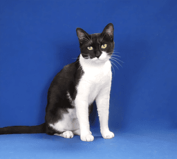 Mimi image 3