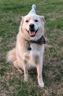 Benson image 2