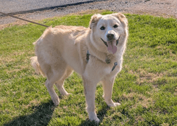 Benson image 4