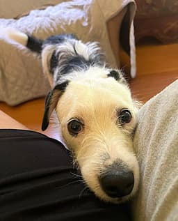 Danny image 4