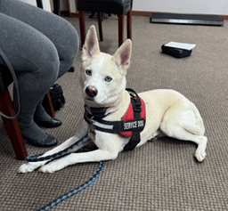 Buddy image 3