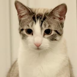 Marie image 1