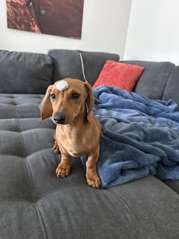 Maddie San Diego image 2