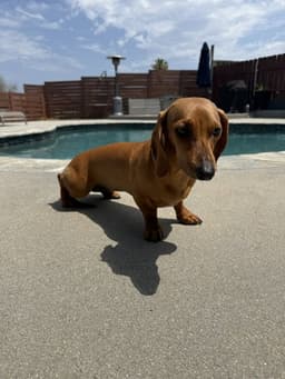 Maddie San Diego image 3