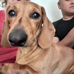 Maddie San Diego image 4