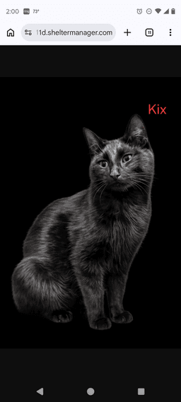 Mama Kix image 1