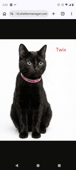 Mama Trix image 1
