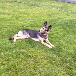 Klara image 1