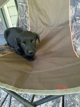Toby Ny-Sarah image 1