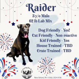 Raider image 1