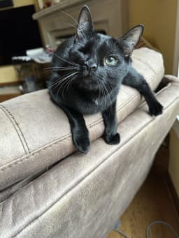 Edgar image 2