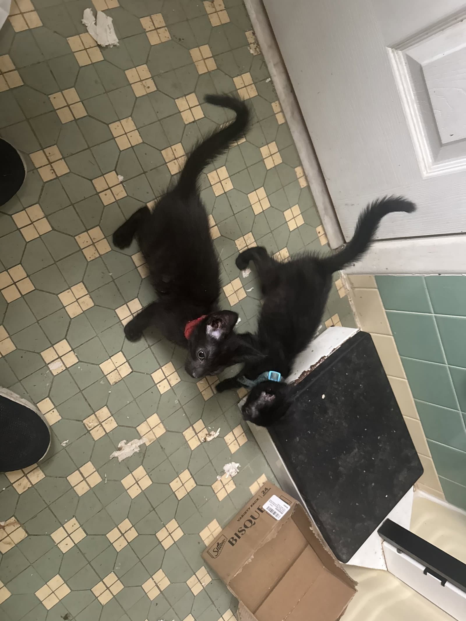 Heckyl And Jekyll