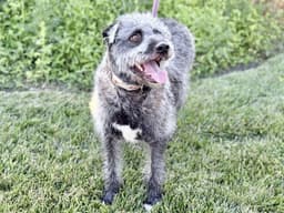 Winnie image 1