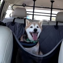Kuma image 3