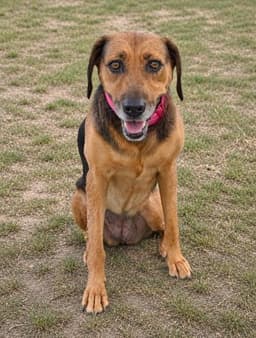 Gretchen image 1