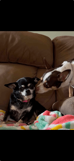 Missy image 3