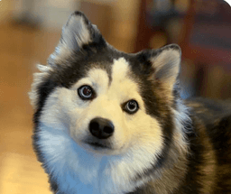 Maggie image 1