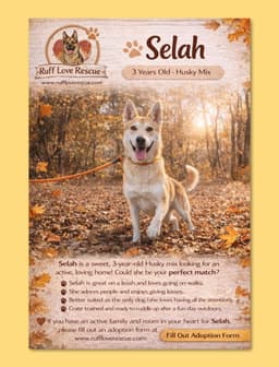 Selah image 1
