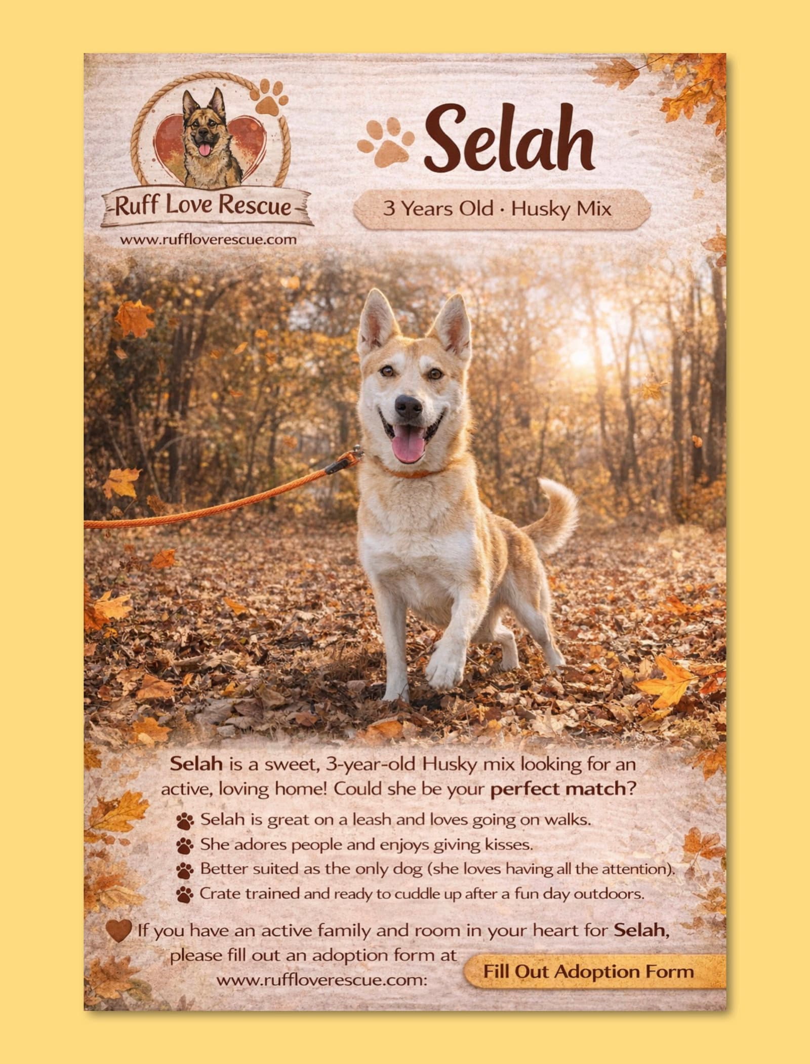 Selah - Husky
