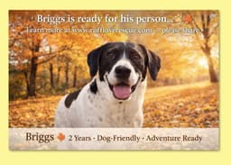 Briggs image 1
