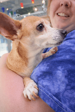 Sugar Chi image 4