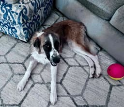 Brynn image 3
